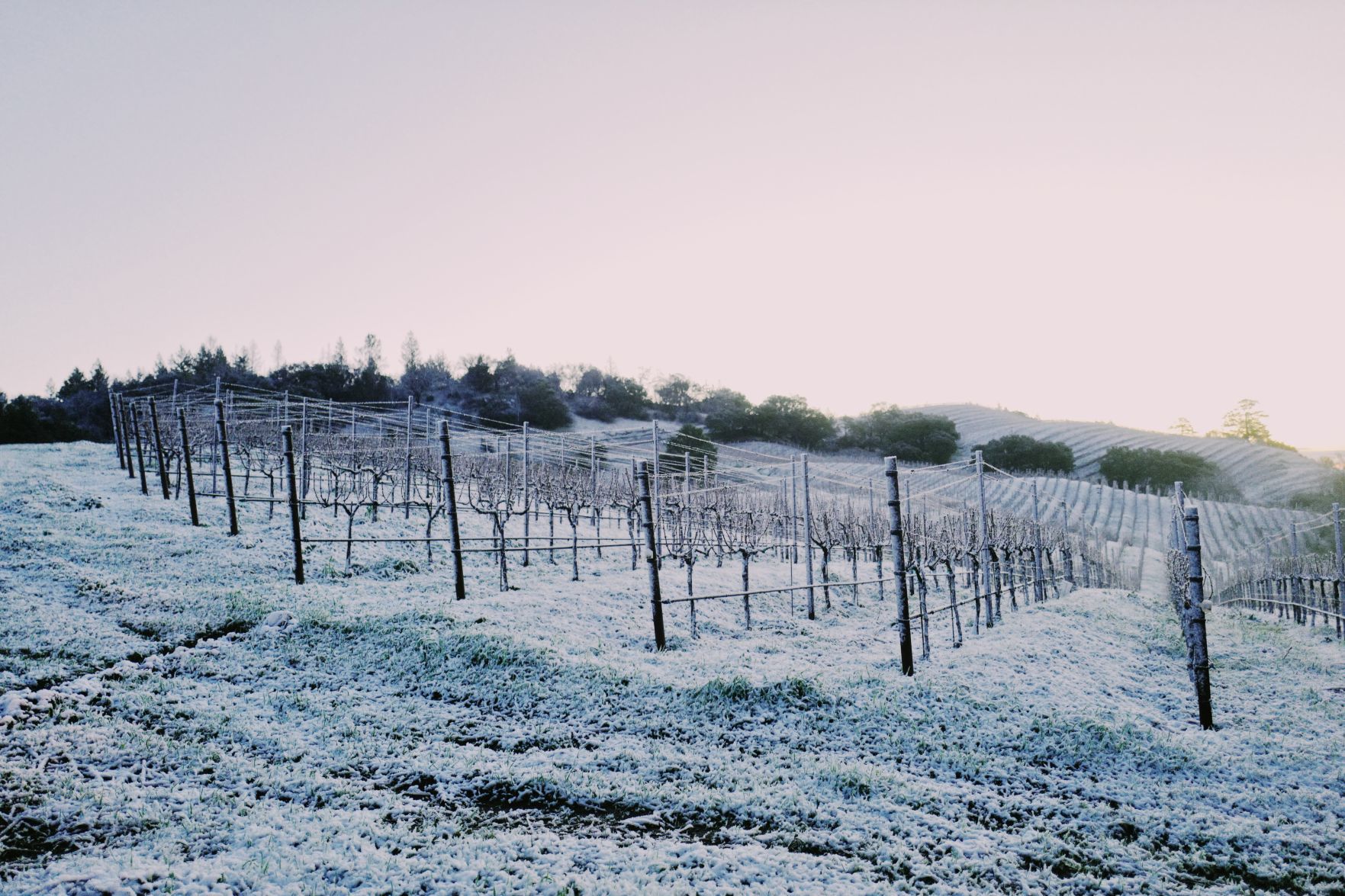 From Our Readers: Snow in Napa Valley